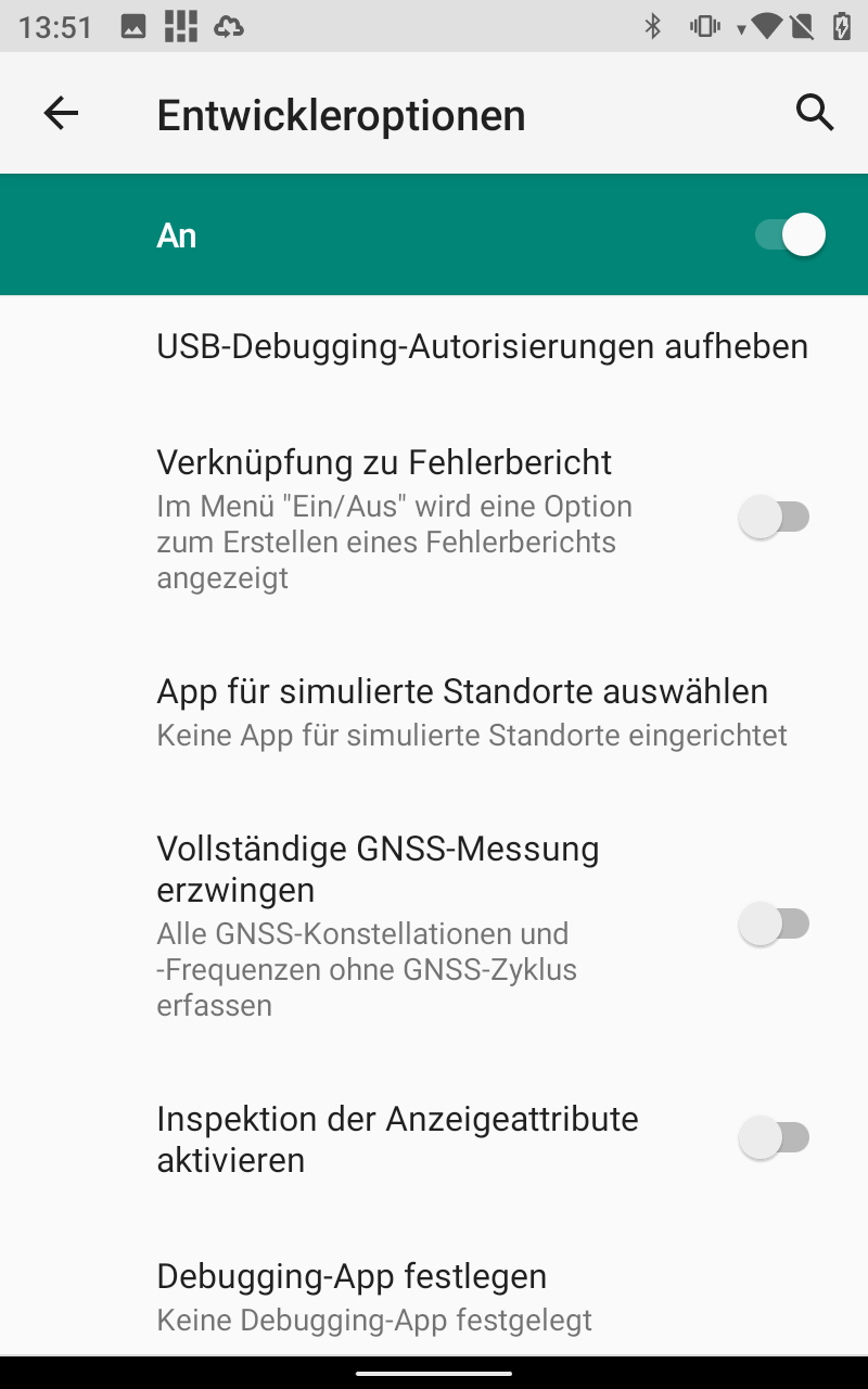 Entwickleroptionen_2