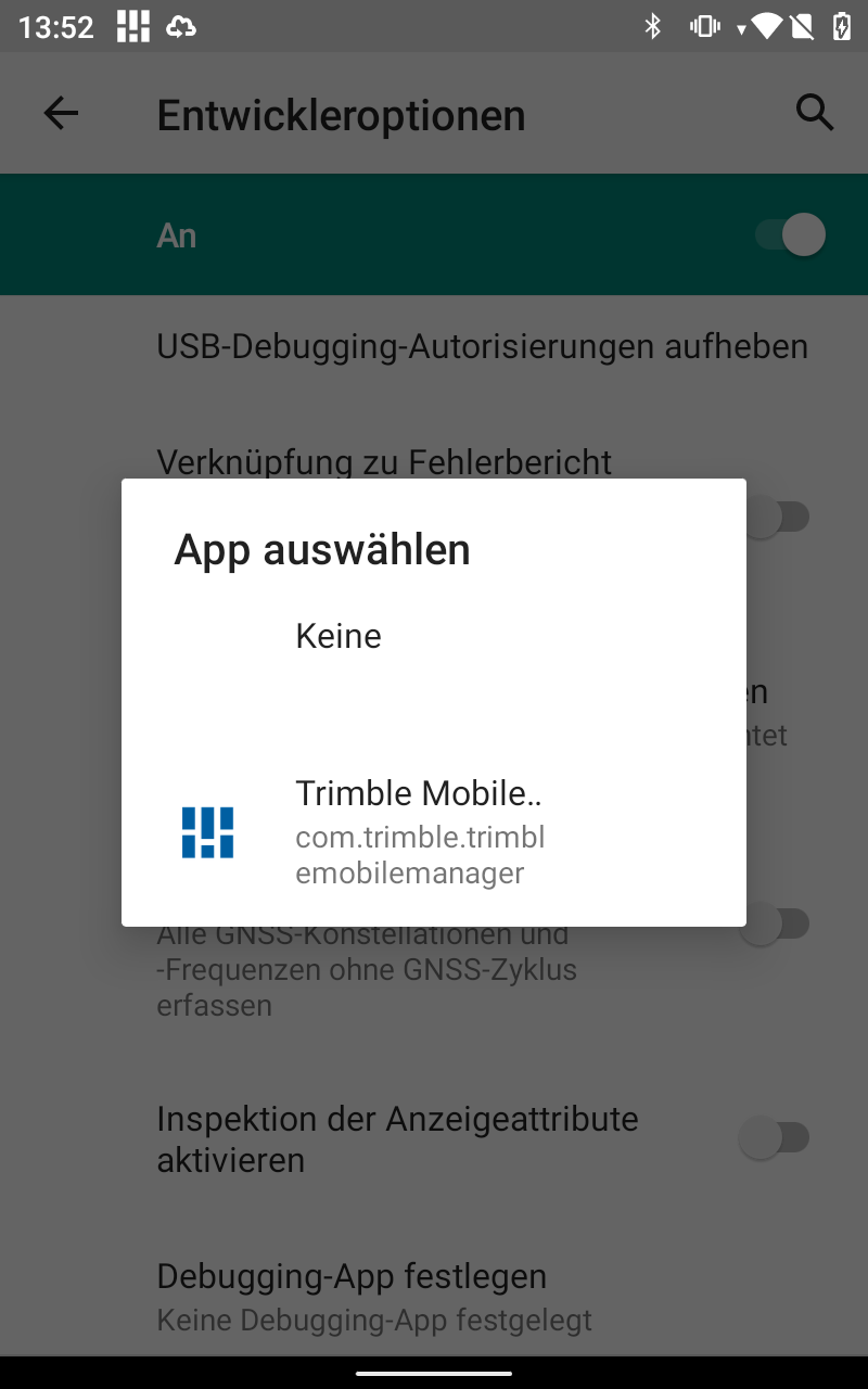Entwickleroptionen_3